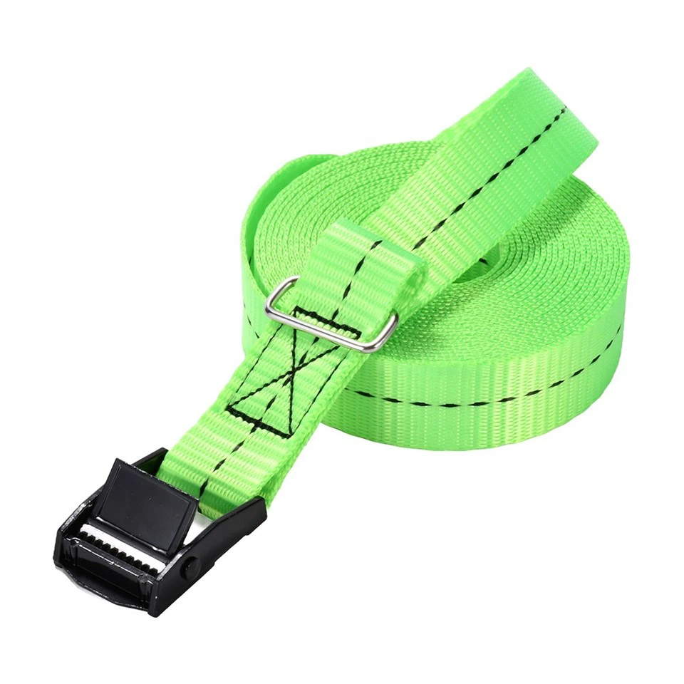 25mm Black E-coating Cam Buckle Strap With Rectangular Ring suppliers