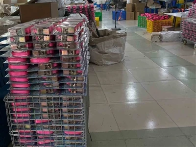 تسمه‌های ضامن دار {{0}اینچی XIANGLE برای تولید و حمل و نقل یکپارچه در حال اجراست